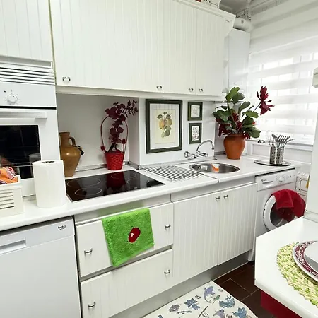 Pa155f Coral 圣维森特-德拉巴尔克拉