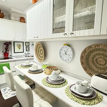 Pa155f Coral 圣维森特-德拉巴尔克拉