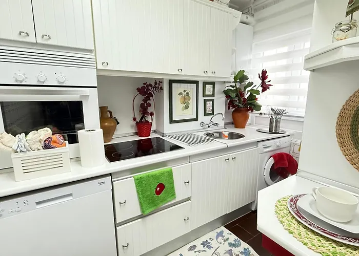 Pa155f Coral 圣维森特-德拉巴尔克拉