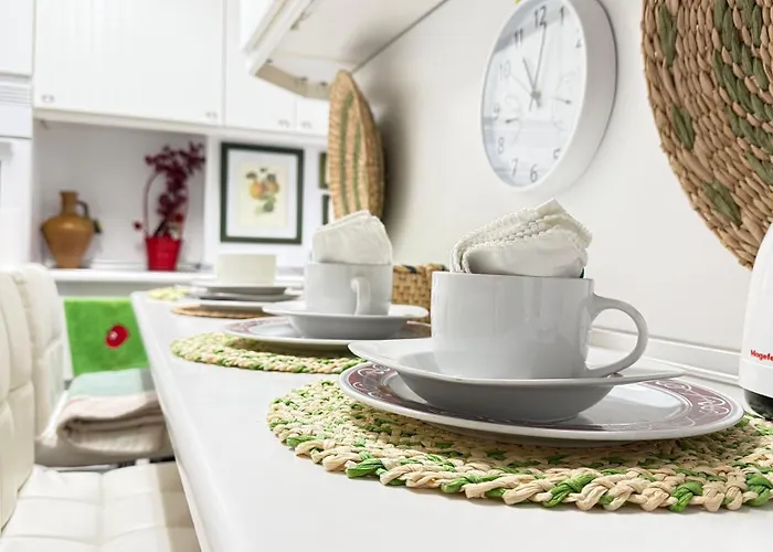 Pa155f Coral * 圣维森特-德拉巴尔克拉